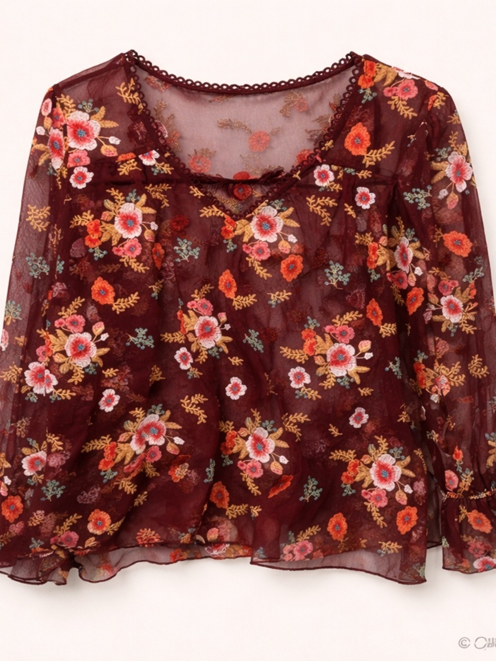 Anthropologie Plum Sheer Floral-Embroidered V-Neck Blouse - Picture 2 of 6